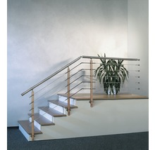 Treppe mit Edelstahlgeländer und Pflanze