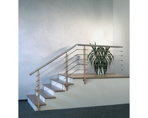 Treppe mit Edelstahlgeländer und Pflanze