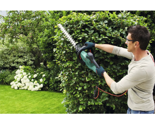 Ein Mann schneidet mit einer elektrischen Heckenschere eine Hecke im Garten.