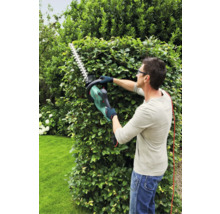 Eine Person schneidet mit einer Heckenschere eine Hecke im Garten.