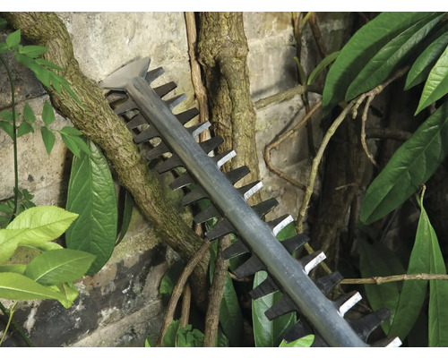 Nahaufnahme einer Heckenschere beim Schneiden von Ästen