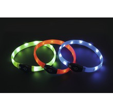 Drei LED Halsbänder für Hunde in Grün, Orange und Blau