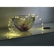 Dekorative Glasschale mit filigraner LED-Lichterkette