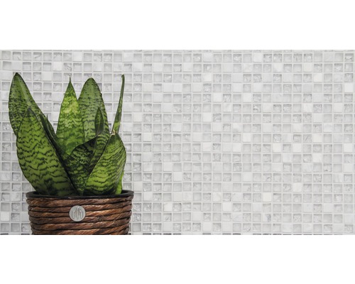 Zimmerpflanze in geflochtenem Topf vor Mosaikhintergrund