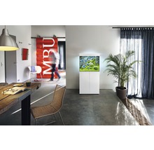 Modernes Wohnzimmer mit Aquarium auf einem Unterschrank, Tisch und Stuhl