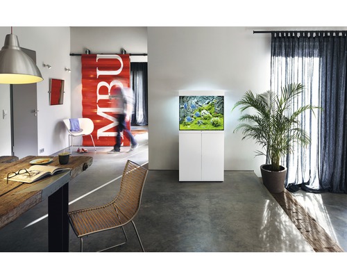 Modernes Wohnzimmer mit Aquarium auf einem Unterschrank, Tisch und Stuhl