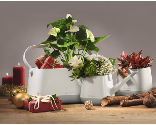 Dekorative Pflanzgefäße in Gießkannenform mit Pflanzen und weihnachtlicher Dekoration