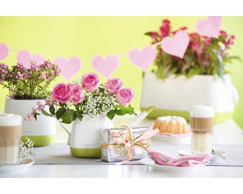 Dekorativer Tisch mit Pflanzen, Getränken und Geschenk