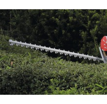 Heckenschere im Einsatz an einer Hecke