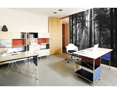 Büro mit Schreibtischen, Regalen und einer Fototapete mit Waldmotiv