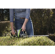 Frau schneidet Hecke mit einer Heckenschere