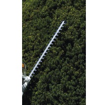 Heckenschere im Einsatz an einer Hecke