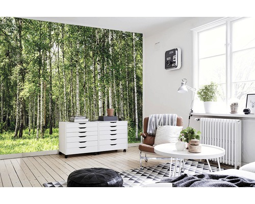 Wohnzimmer mit Birkenwald-Tapete, Kommode und Sitzgelegenheiten