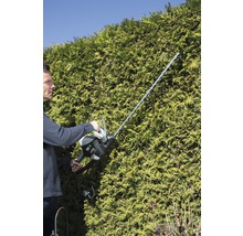 Mann schneidet Hecke mit einer Heckenschere