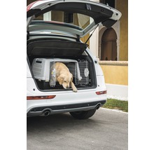 Gulliver Touring IATA Transportbox, anthrazit-thumb-1 Gulliver Touring IATA Transportbox, anthrazit-thumb-1