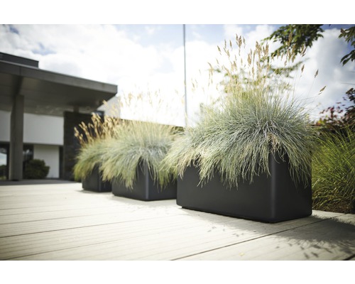 Drei Pflanzkästen mit Ziergräsern auf einer Terrasse vor einem Wohnhaus.