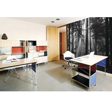 Fototapete Papier 97006 Forrest black & white 2-tlg. 350 x 260 cm