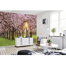 Fototapete Papier 97023 Cherry Tree Garden 7-tlg. 350 x 260 cm
