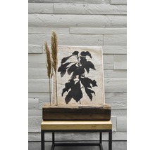 Balken aus Altholz in Fichte/Tanne/Kiefer von 100x120-140x140mm 1000mm-thumb-17 Balken aus Altholz in Fichte/Tanne/Kiefer von 100x120-140x140mm 1000mm-thumb-17