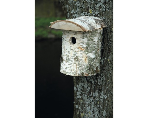 Vogelhaus aus Birkenholz an Baumstamm