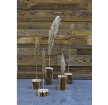 Balken aus Altholz in Fichte/Tanne/Kiefer von 100x120-140x140mm 1000mm-thumb-7 Balken aus Altholz in Fichte/Tanne/Kiefer von 100x120-140x140mm 1000mm-thumb-7