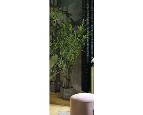 Dekorative Zimmerpflanzen in strukturierten Töpfen in einem Wohnraum.