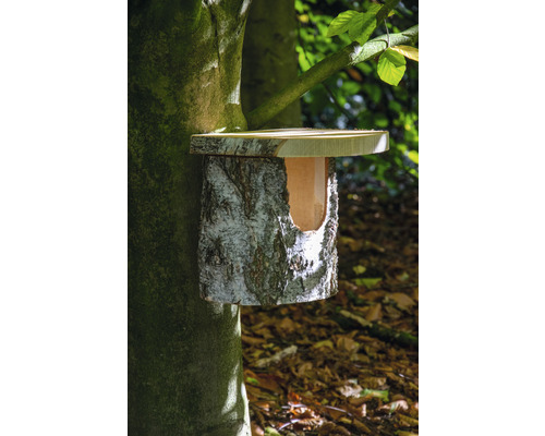 Vogelhaus aus Birkenholz an einem Baumstamm befestigt