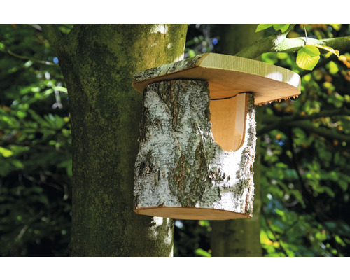 Vogelhaus aus Birkenholz im Baum