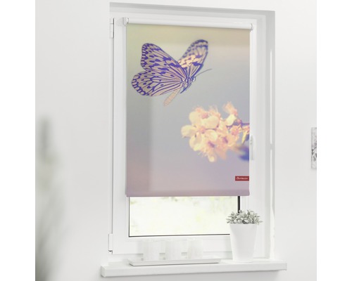 Klemmrollo Lichtblick ohne Bohren Schmetterling 120x150 cm inkl. Klemmträger