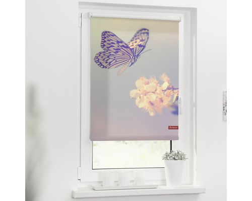 Klemmrollo Lichtblick ohne Bohren Schmetterlinge 90x150 cm inkl. Klemmträger Fenster mit Rollo mit Schmetterlings- und Blütenmuster