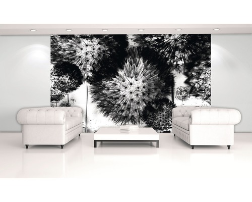 Wohnzimmer mit Löwenzahn Fototapete, zwei Sofas und einem Tisch