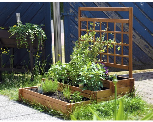 Hochbeet aus Holz mit Rankhilfe und Bepflanzung im Garten