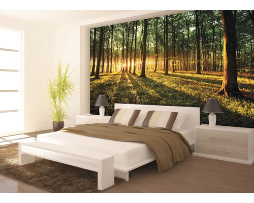 Schlafzimmer mit Fototapete eines Waldes im Sonnenaufgang