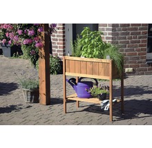 Holz Pflanztisch mit Kräutern, Gießkanne und Gartenhandschuhen