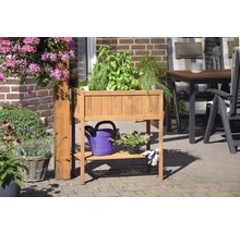 Hochbeet aus Holz mit Kräutern, Gießkanne und Gartenhandschuhen auf einer Terrasse