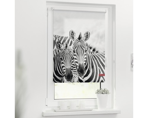 Klemmrollo Lichtblick ohne Bohren Zebra 120x150 cm inkl. Klemmträger