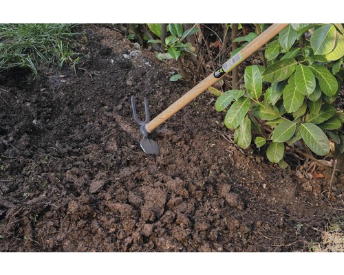 Gartenhacke mit Holzgriff im Einsatz auf einem Beet neben Pflanzen.