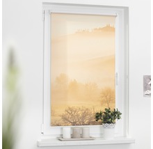 Fenster mit einem Rollo mit Landschaftsmotiv.
