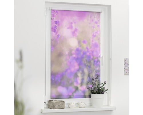 Fenster mit Blumenrollladen und Fensterbankdekoration