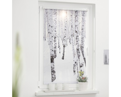 Fenster mit Rollo und Birkenwald-Motiv für Sichtschutz