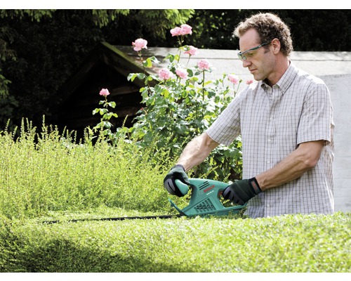Mann schneidet Hecke mit einer Heckenschere im Garten