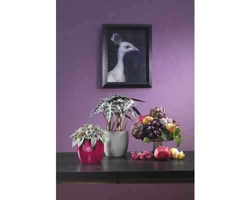 Dekoratives Arrangement mit Zimmerpflanzen, Obst und einem gerahmten Bild an der Wand