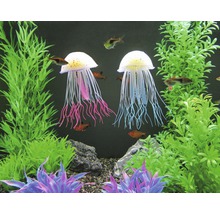 Aquarium mit zwei Quallenornamenten und Pflanzen