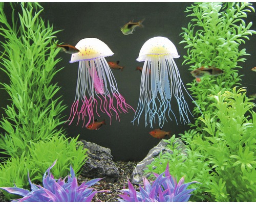 Aquarium mit zwei Quallenornamenten und Pflanzen