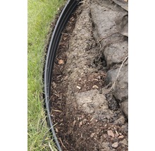 Gartenszene mit Rasen und einer Rasenkante zur Beetbegrenzung