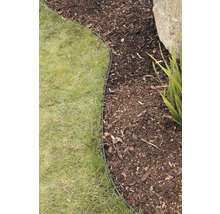 Rasenkante trennt Rasenfläche von Mulch im Garten