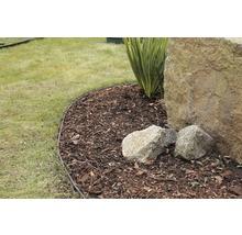 Gartenszene mit Rasenkante, Rindenmulch, Stein und Pflanze