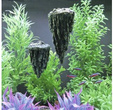 Aquarium mit zwei Deko-Felsen und Pflanzen
