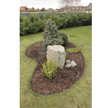 Gartenszene mit Baum, Strauch, Mulch und Steinen