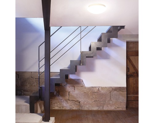 Treppe mit Metallgeländer und Steinstufen in einem hellen Raum.